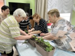 Гарденотерапия